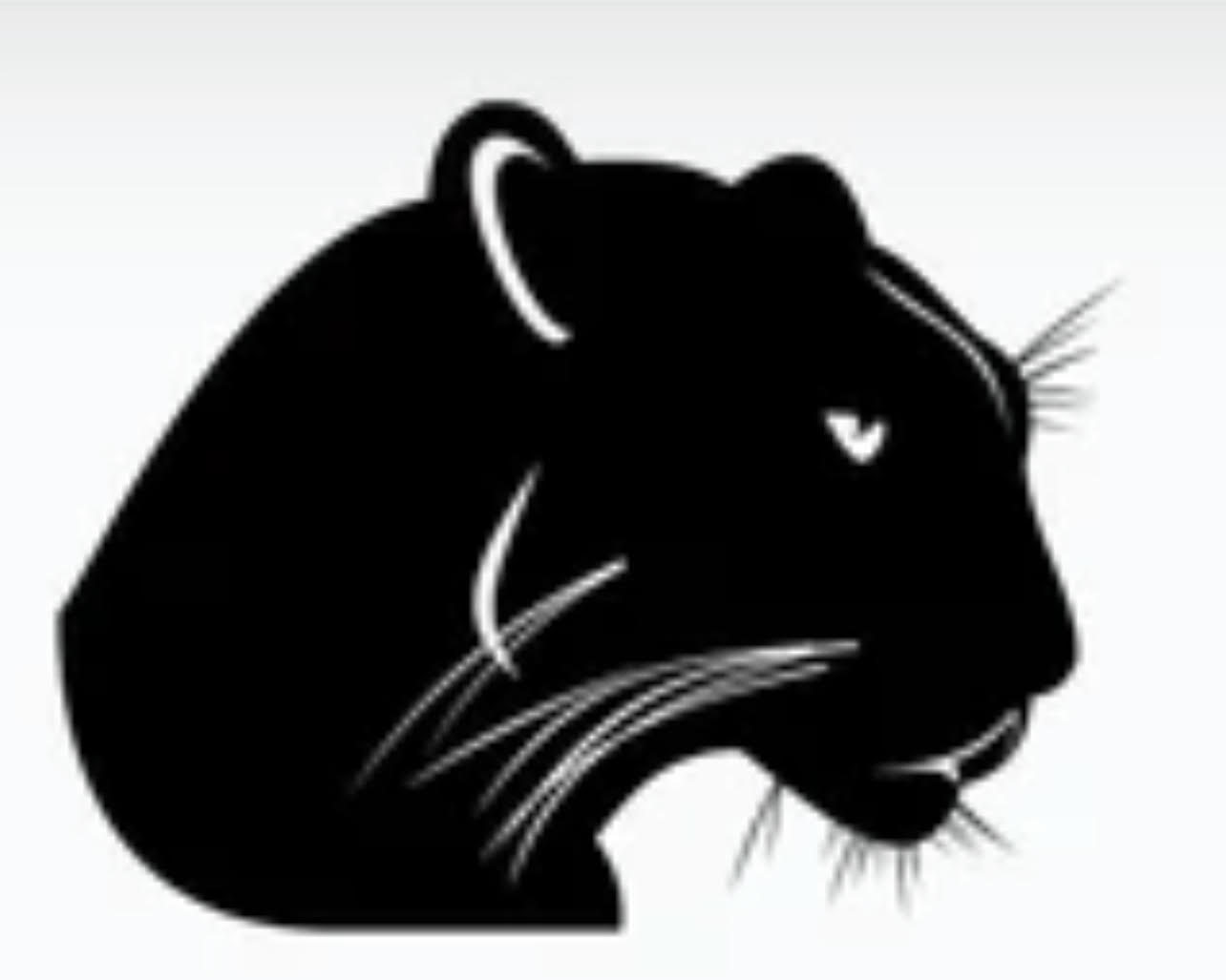 EPIC High School Mascot, black panther on white background