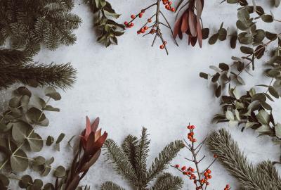 snow on the ground bordered with pine tree leaves, red berry stems, and other winter plants